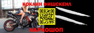 гашик Брянск