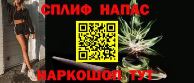 гашик Брянск