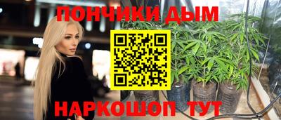 гашик Брянск