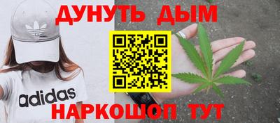 гашик Брянск